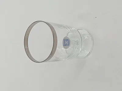 SCHOTT ZWIESEL Trinkglas mit Platinrand 250ml Transparent Elegant
