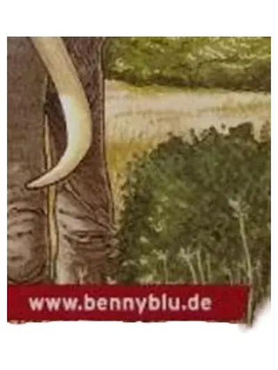Benny Blu Kinderleicht Wissen Elefanten Dickhäuter mit Rüssel Sachbuch Kinder