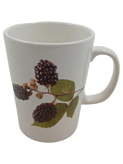 ASA Selection Trattoria Tasse Becher Brombeeren Obst Motiv Porzellan Weiß 300ml