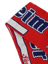 Adler Mannheim Fanschal Die Adler Mannheim Since 1994 Rot 140x17 cm 5