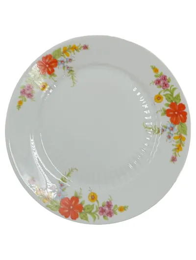 Mitterteich Essteller Porzellan Weiß Blumenmuster 19, 5 cm Klassisch
