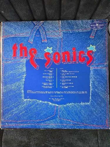 The Sonics Vinyl LP Here Are The Sonics! Garage Rock Album 60s