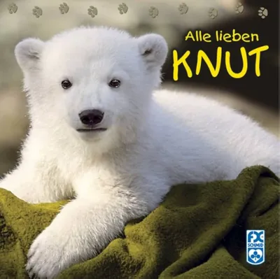 Alle lieben Knut Kinderbuch Eisbär Tierbuch FX Schmid Verlag