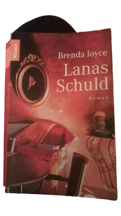 Lanas Schuld Brenda Joyce Roman Knaur Kriminalroman