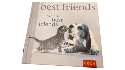 Best Friends Groh Verlag Bildband Hunde Katzen Freundschaft Tiere