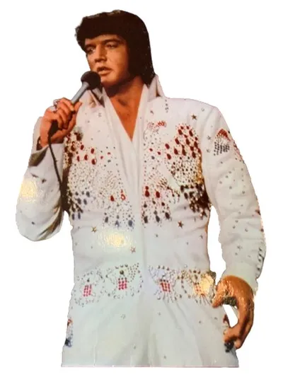 Elvis Presley - Elvis Forever 32 Hits Vinyl Album RCA Rock Pop Oldies