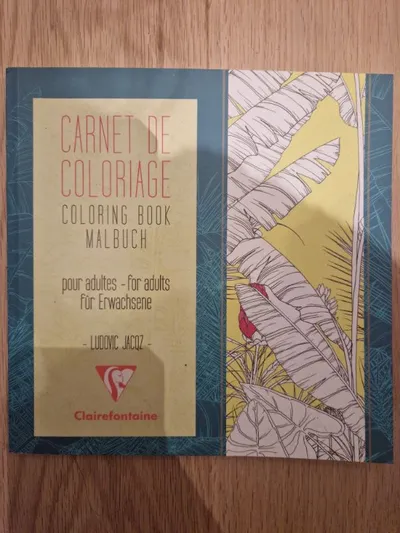 Clairefontaine Malbuch Erwachsene Coloring Book Ludovic Jacqz Hobbybuch Deutsch