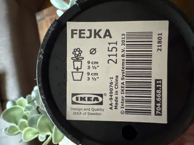 IKEA FEJKA Künstliche Pflanze Eukalyptus Hängepflanze im Topf Grün