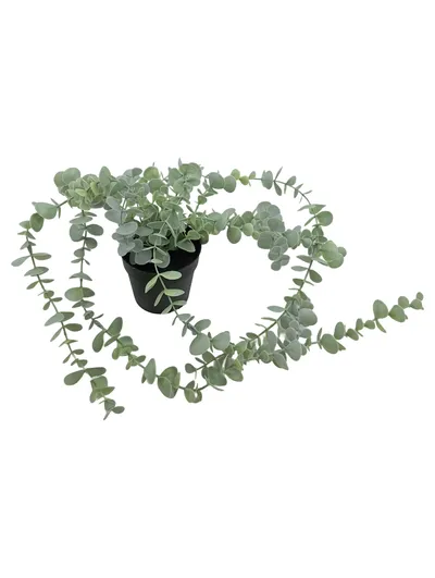 IKEA FEJKA Künstliche Pflanze Eukalyptus Hängepflanze im Topf Grün
