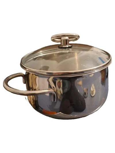 Fissler Kochtopf Edelstahl mit Glasdeckel 17 cm 3 Liter Silber