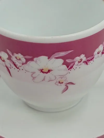Colditz Tasse und Unterteller Kaffeetasse Porzellan Pink Blumenmuster Vintage