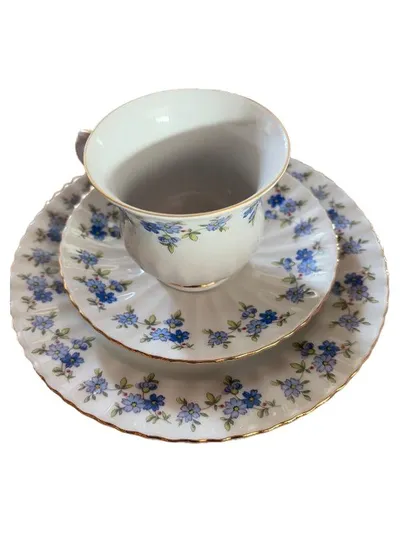 Seltmann Weiden Kaffeeservice Royal China Porzellan Blumenmuster Weiß Gold