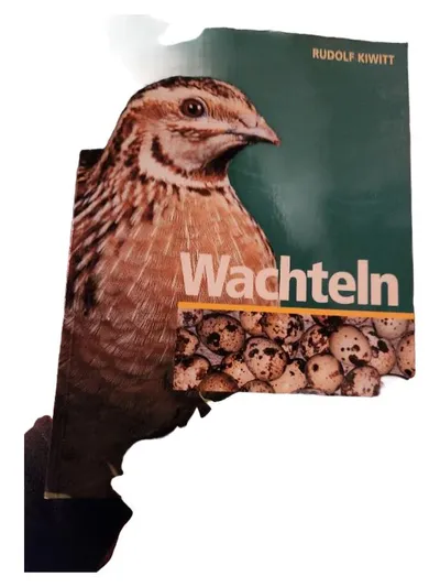 Wachteln Zucht Haltung Rudolf Kiwitt Ulmer Ratgeber Geflügel Buch
