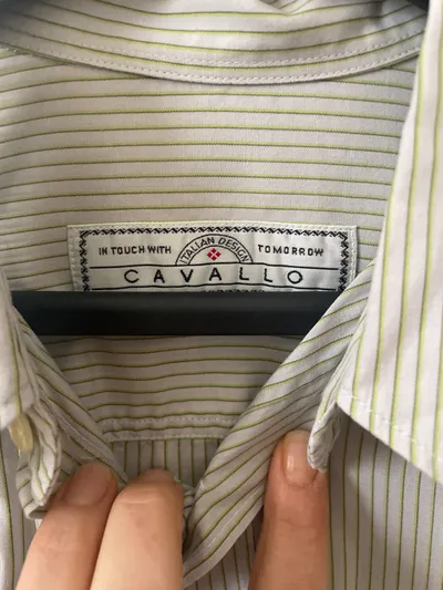 Cavallo Herren Business Hemd Langarm Gestreift Grün Gr. 39