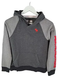 Abercrombie Kids Kapuzenpullover Hoodie Gr. 158 13/14 Grau Rot Logo 1