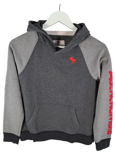Abercrombie Kids Kapuzenpullover Hoodie Gr. 158 13/14 Grau Rot Logo