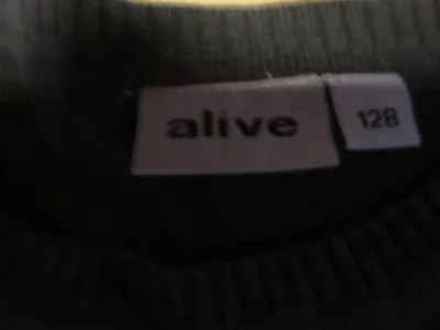Alive Mädchen Pullover Gr. 128 Grau Lovely Schriftzug Baumwolle