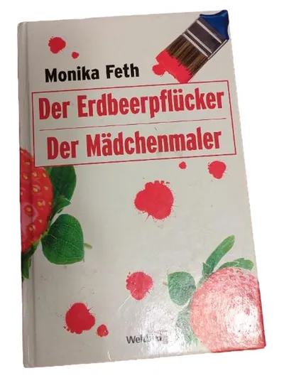 Monika Feth Erdbeerpflücker Mädchenmaler Jugendbuch Thriller Hardcover