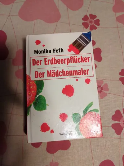 Monika Feth Erdbeerpflücker Mädchenmaler Jugendbuch Thriller Hardcover