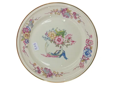 Rosenthal Winifred Kuchenteller 20 cm Echt Elfenbein Vogel Blumenmuster