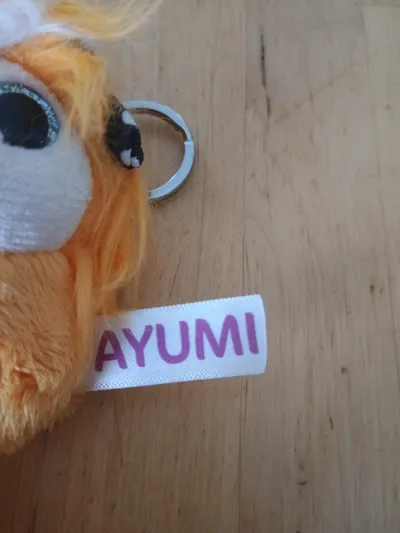 Ayumi Plüschtier Schlüsselanhänger Löwe Orange Anhänger Tasche 16cm