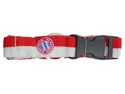 FC Bayern München Hundehalsband Rot Weiß Nylon mit Schnellverschluss