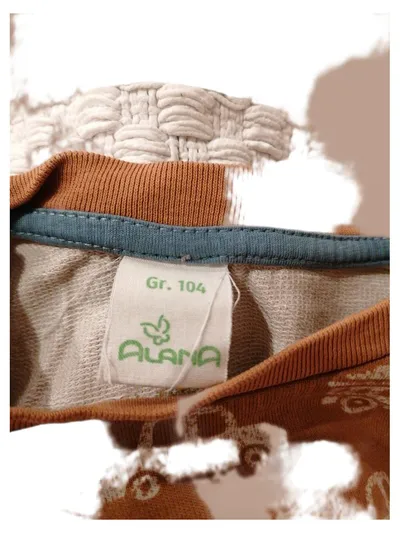 ALANA Kinder Pullover Gr. 104 Orange Auto-Muster Langarm Baumwolle