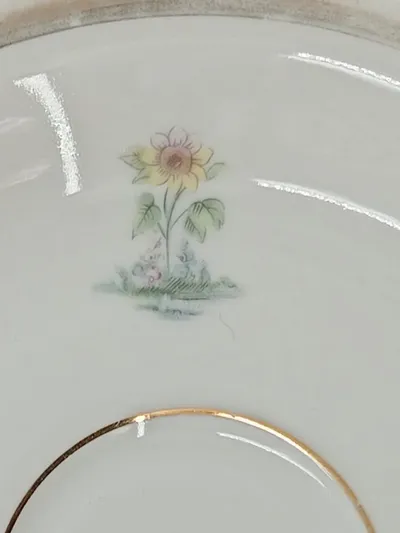 Johann Seltmann Vohenstrauß Unterteller Porzellan Blumenmotiv Goldrand Bavaria