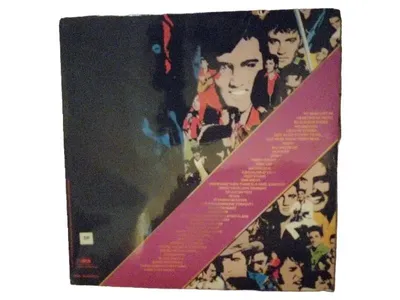 Elvis Presley Vinyl Schallplatte Album LP Rock n Roll