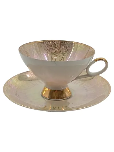 Bavaria Kaffeetasse mit Untertasse Porzellan Gold Lüster Rose Elegant