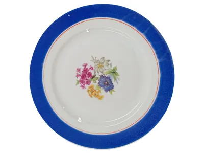 Bavaria Porzellan Sammelteller Blumenmotiv Blau Made in Germany US Zone