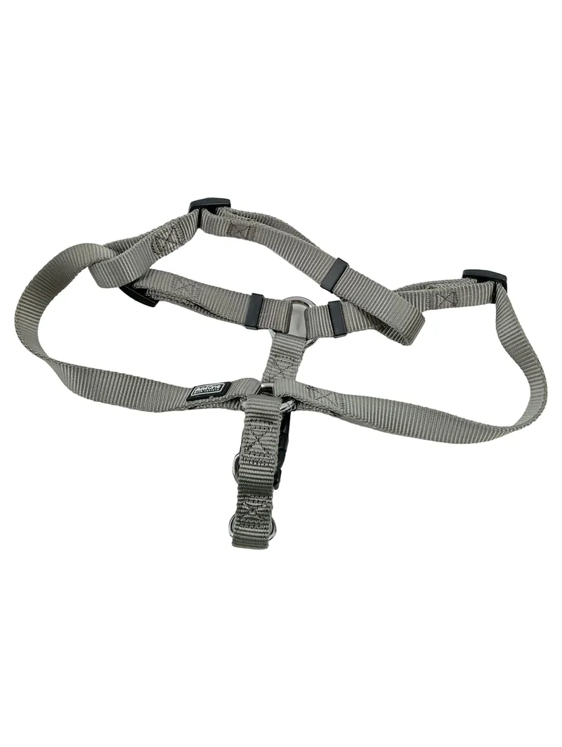 AniOne Hundegeschirr Größe M Grau Nylon verstellbar wild variety 2
