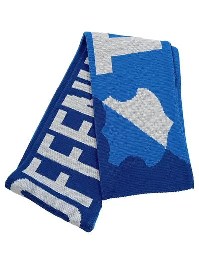 TSG 1899 Hoffenheim Fanschal Hoffe im Herzen Schal Blau Weiß