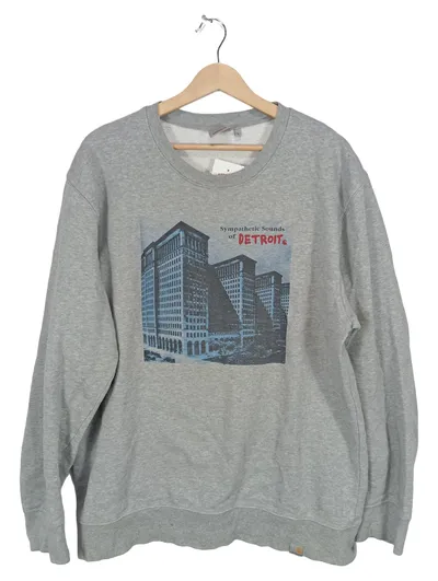 Carhartt Sweatshirt Sympathetic Sounds of Detroit Herren Gr. L Grau