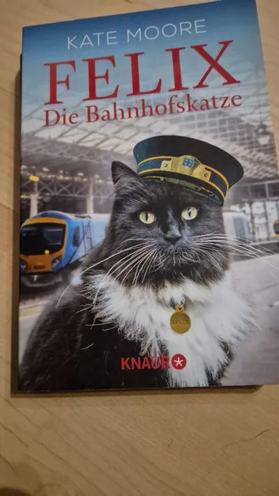 Felix Die Bahnhofskatze Kate Moore Knaur Kinderbuch Katze Tiergeschichte