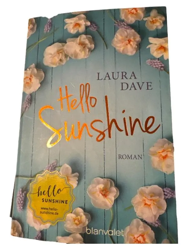 Hello Sunshine Laura Dave Roman Taschenbuch blanvalet Gesellschaftsroman 1