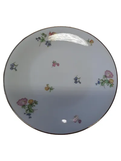 Heinrich Porzellan Essteller Klassisch Blumenmuster Weiß 19 cm