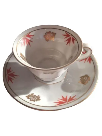 Edelstein Bavaria Tasse mit Untertasse Porzellan Gold Rot Blumen Vintage