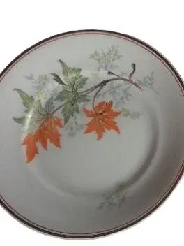 Sammelgedeck Porzellan Herbstlaub Dekor Tasse Untertasse Teller 3-teilig