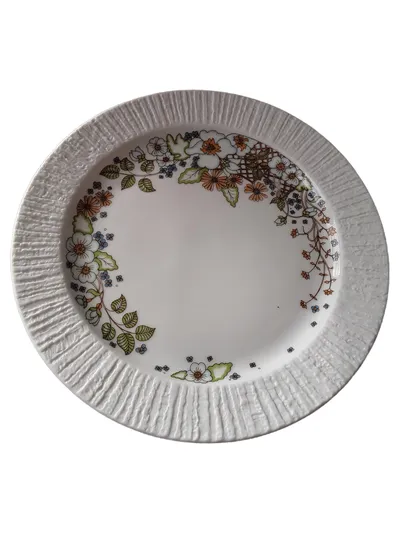 Thomas Germany Porzellan Essteller Blumenmuster Vintage 19 cm