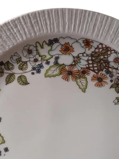Thomas Germany Kuchenteller Porzellan Blumenmuster Vintage 19 cm