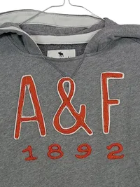 Abercrombie Kids Kapuzenpullover Gr. 158 13-14 Jahre Grau A&F Hoodie 3