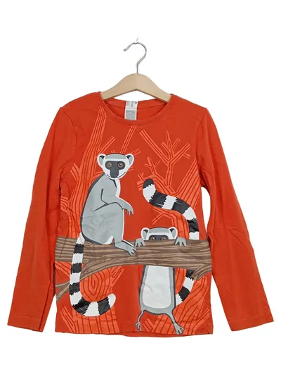 Palomino Langarmshirt Gr. 134 Orange Lemuren Motiv Baumwolle Kinder
