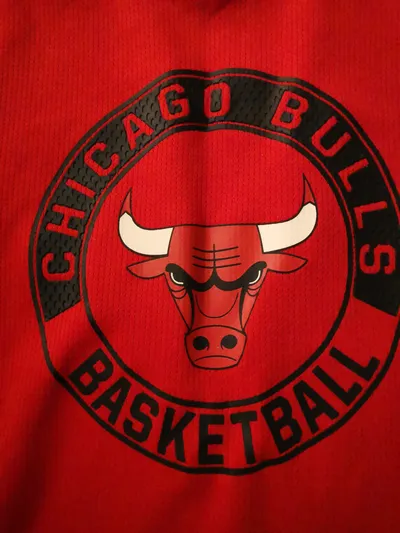 NBA Chicago Bulls Basketball Tanktop Herren Gr. L Rot Trikot Sport