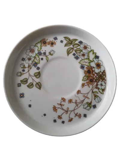 Thomas Porzellan Unterteller Blumenmuster Vintage Mehrfarbig 14 cm