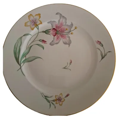 Rosenthal Kuchenteller Porzellan Klassisch Blumenmuster Weiß 28 cm Festlich
