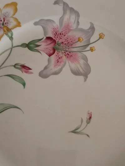 Rosenthal Kuchenteller Porzellan Klassisch Blumenmuster Weiß 28 cm Festlich