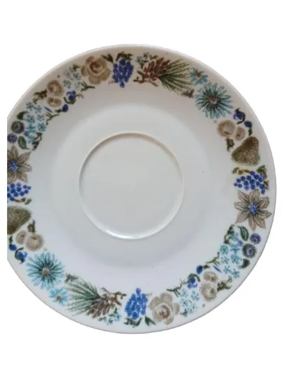 Arzberg 45 Unterteller Porzellan Blumenmuster Vintage Mehrfarbig 18 cm