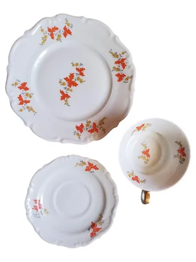 C. Tielsch Altwasser Sammelgedeck Porzellan Herbstlaub Dekor Vintage