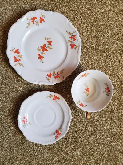 C. Tielsch Altwasser Sammelgedeck Porzellan Herbstlaub Dekor Vintage